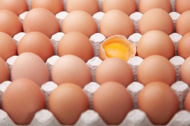 Bütün tavuk yumurtası ve beyaz bir arka plan üzerinde kırık bir tepsi.