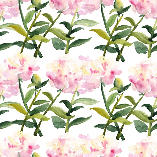 Seamless pattern - pink watercolor peony flowers — Stock Photo, Image