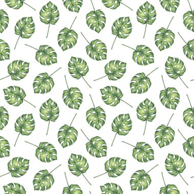 Dikişsiz desen tropikal monstera palmiye yaprakları