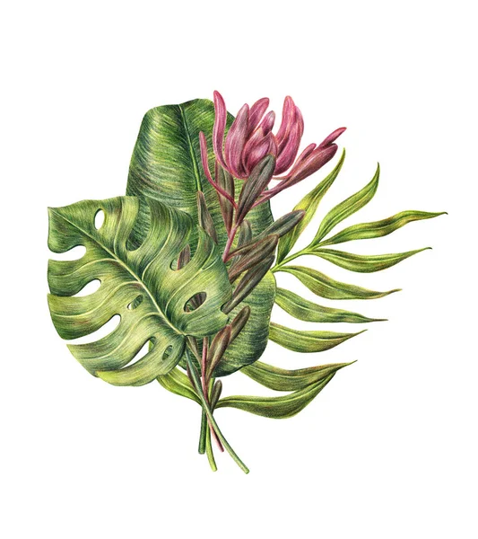 A pálmalevél és protea virág virág kompozíció — Stock Fotó