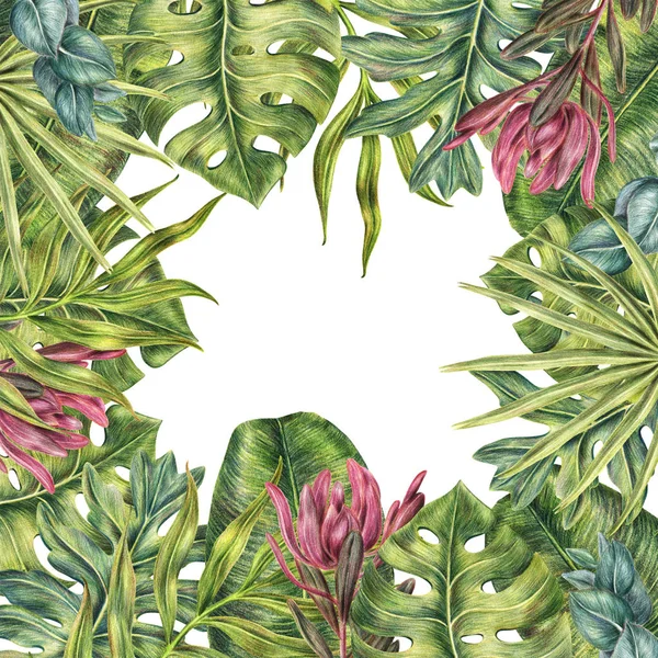 Négyzet alakú keret a trópusi növényekkel, levelek tenyér — Stock Fotó