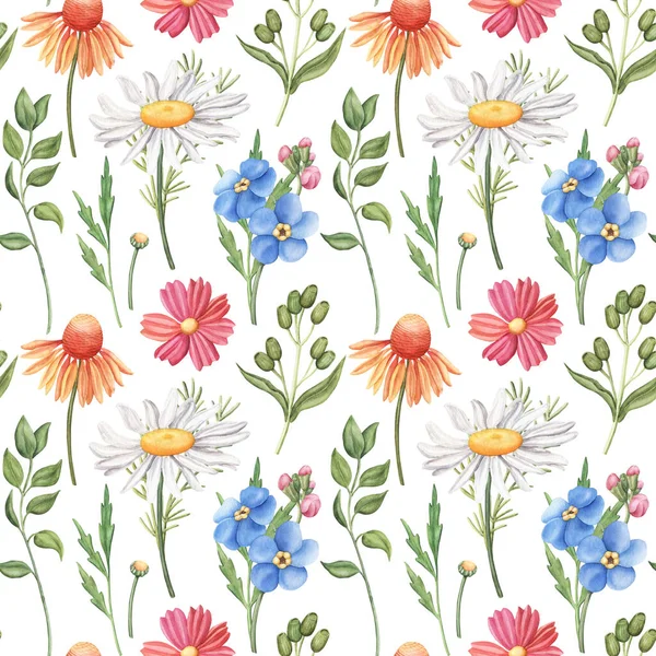 Seamless Pattern Wild Summer Flowers Camomile Cornflower Forget Cosmos Greenery — Stock Photo, Image