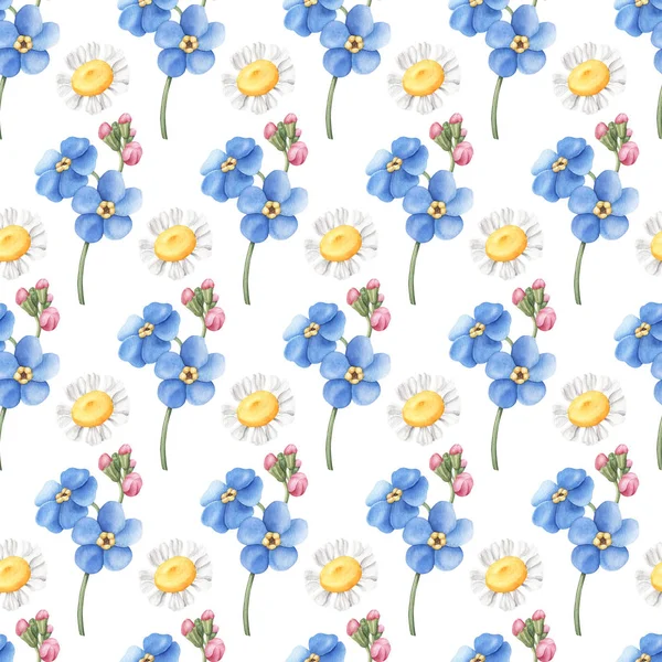 Modèle sans couture avec forget-me-not, fleurs de marguerite — Photo