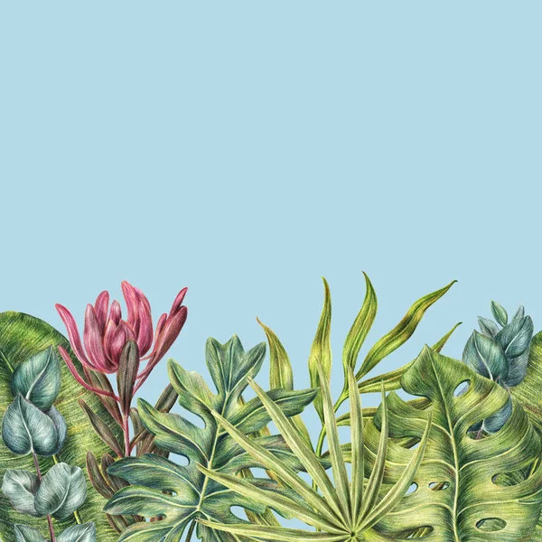Frontera con plantas tropicales, hojas de palmeras en azul — Foto de Stock