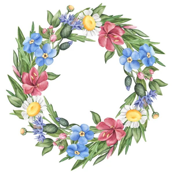 Wreath of wild summer flowers, leaves and herbs — Stock Photo, Image