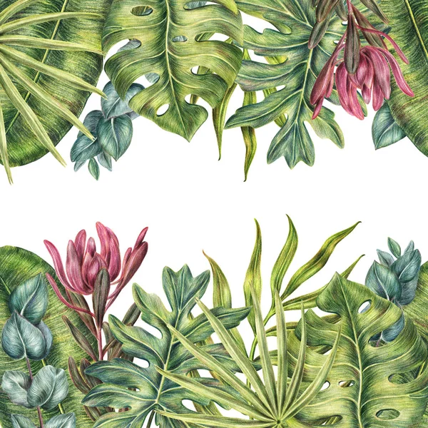 Frontera tropical con hojas de palmeras, superior e inferior — Foto de Stock