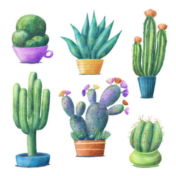 Mignon ensemble de cactus coloré, plantes d'intérieur dans des pots — Photo