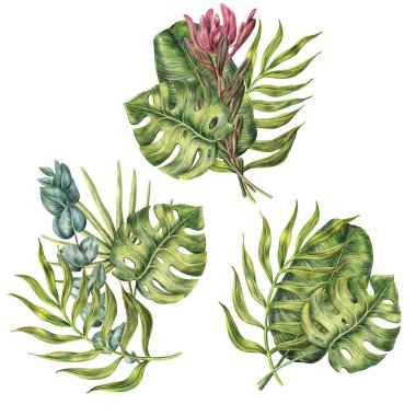 Tropikal palmiye yaprakları çiçek kompozisyonlar kümesi