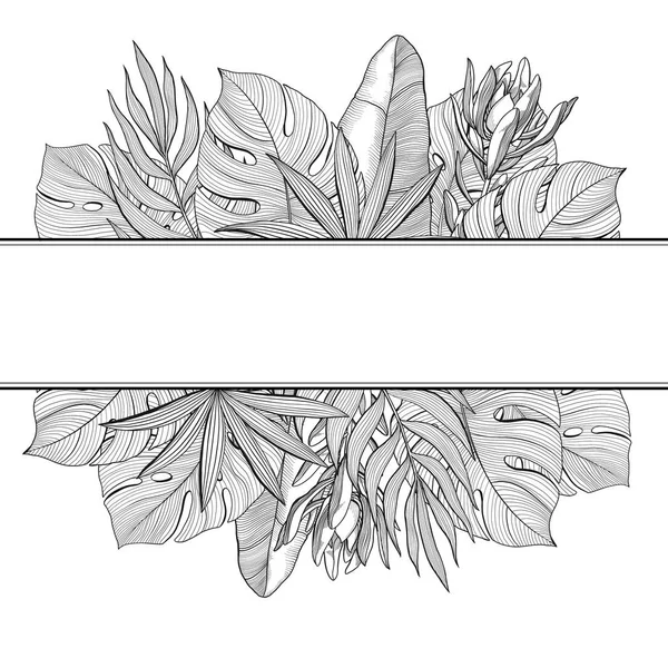 배너, 열 대, 정글 손바닥의 테두리 나뭇잎 — 스톡 벡터