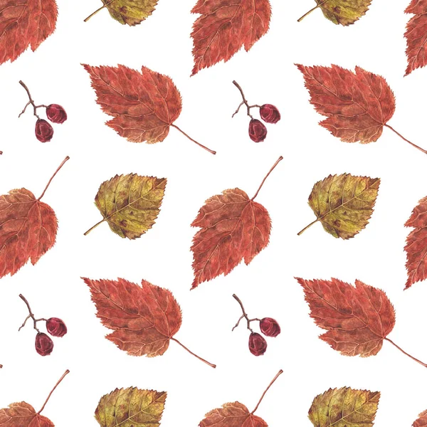 Seamless pattern, dry leaves and berries on white