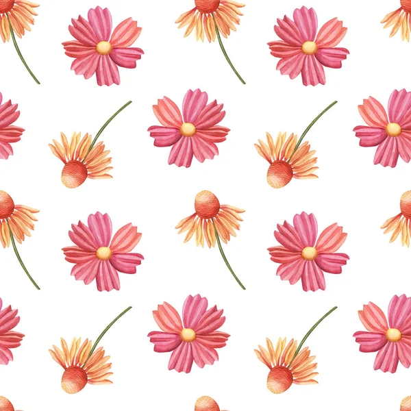 Seamless pattern, coneflower and cosmos flowers — Stock Photo, Image
