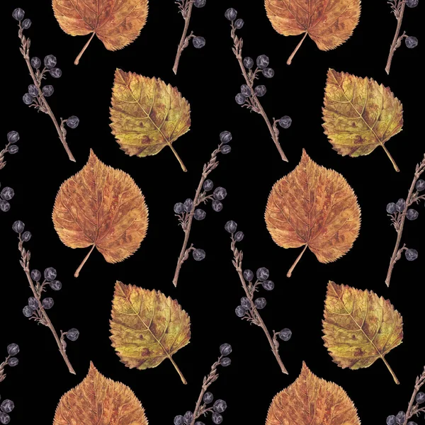 Patrón sin costura con hojas que caen, bayas secas — Foto de Stock