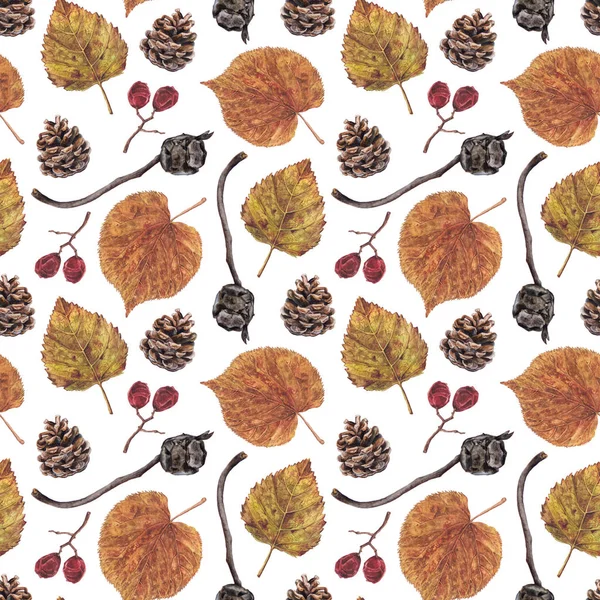 Seamless pattern dry leaves cones berries on white