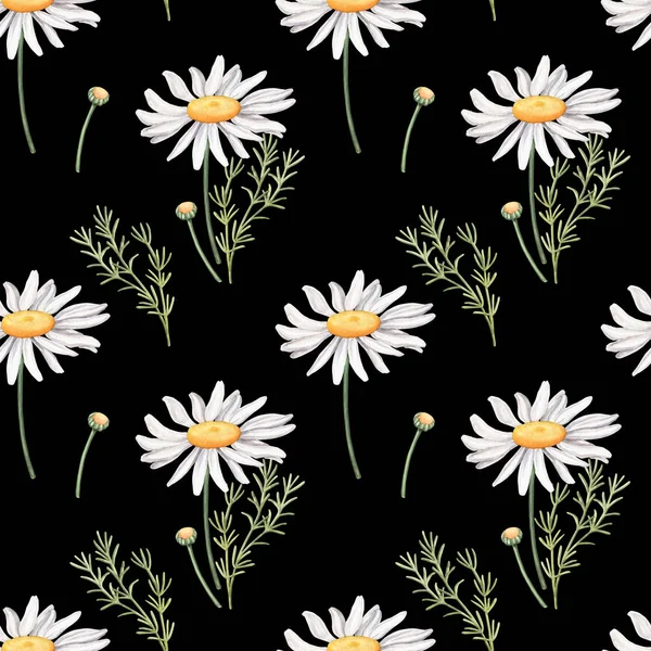 Modèle sans couture avec des fleurs de camomille sur noir — Photo