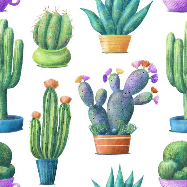 Cactus en pots, motif sans couture, fond blanc — Photo