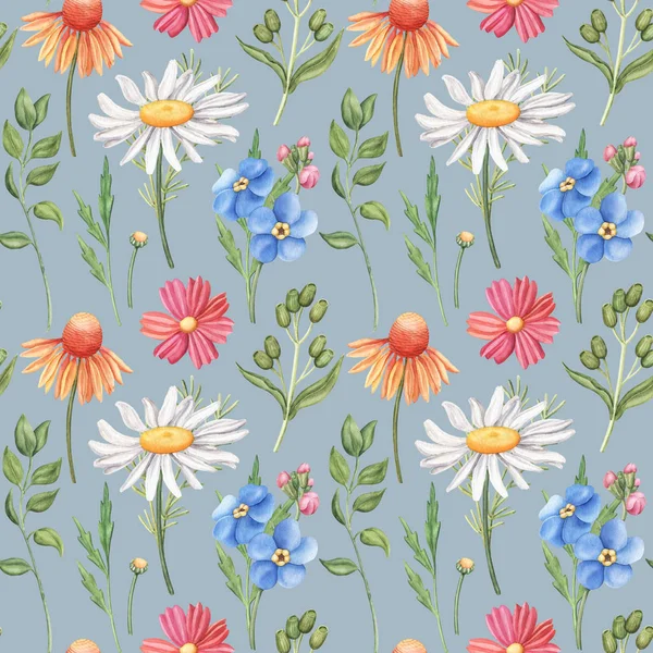 Seamless pattern with wild summer flowers on grey — Stock Photo, Image