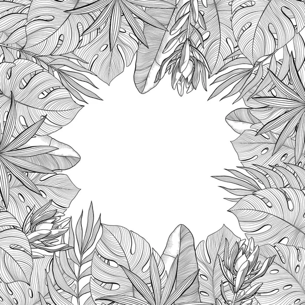 正方形のフレーム バナー テンプレート熱帯は ジャングルの中のシュロの葉 白い背景で隔離の手描きのベクトル図 正方形の熱帯ジャングルの葉 手描き 黒と白のフレーム — ストックベクタ
