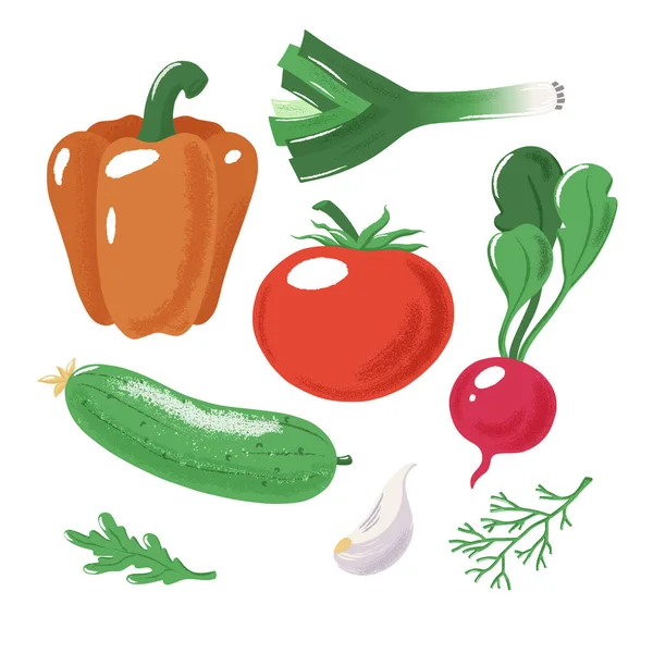 Conjunto de verduras y especias con, effecr texturizado — Foto de Stock