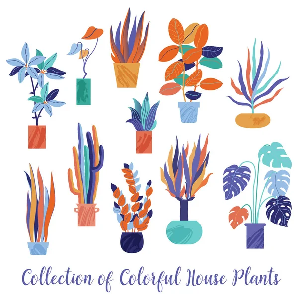 Набор, коллекция ярких, фанковых домашних растений — стоковый вектор
