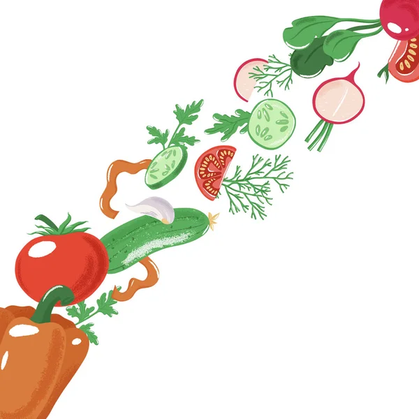 Tira de rodajas, verduras enteras, plantilla de banner — Vector de stock