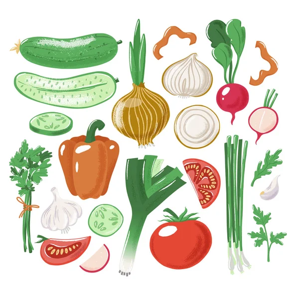 El juego grande de hortalizas de ensalada - entero y cortado — Vector de stock