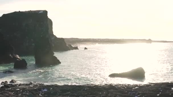 Costa del océano pedregoso en Islandia — Vídeo de stock