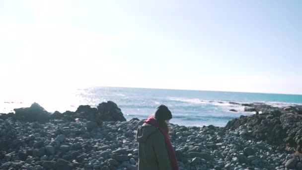Dziewczyna spacery wzdłuż brzegu kamienisty — Wideo stockowe
