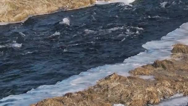 Ruwe rivier in voorjaar closeup — Stockvideo