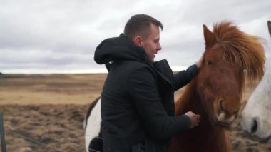 adam İzlandalı atlar vuruş