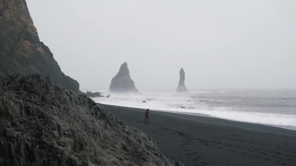 여자는 아이슬란드에 버려진된 해변을 따라 걷고 있다 — 비디오