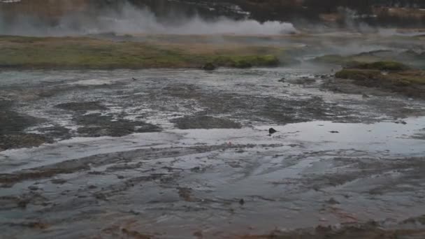 Vallée Des Geysers Gros Plan — Video