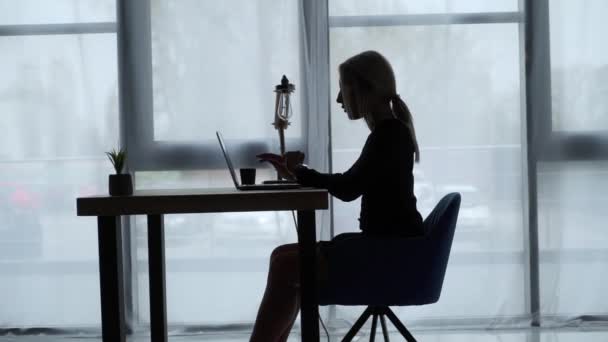 Woman works on laptop in office — Stock Video