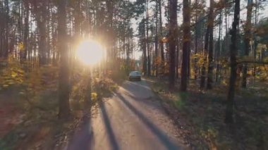 Ormanda eski model araba sürmek