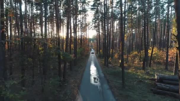 Viejos paseos en coche en el bosque a la luz del sol — Vídeos de Stock