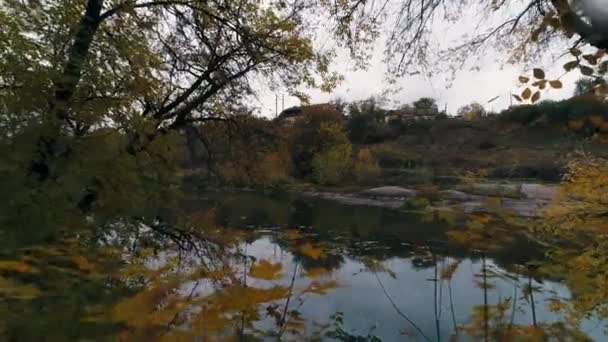 Autumn nature by the river — Stock Video