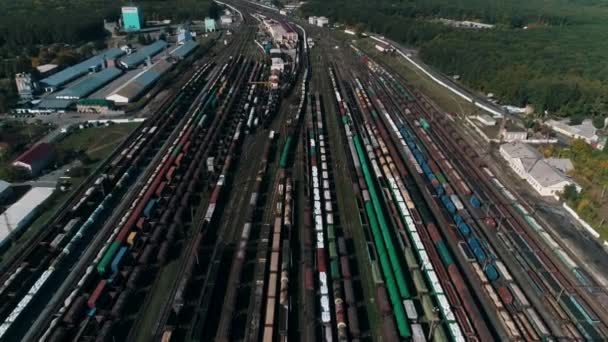 Bahnhof mit Güterwaggons — Stockvideo