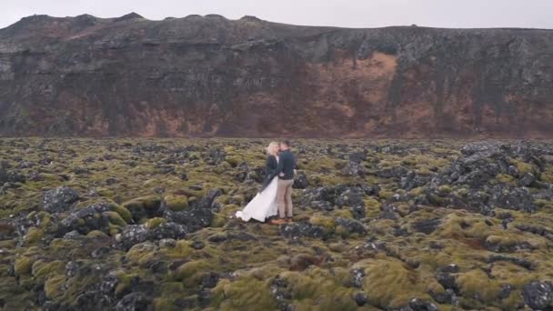 新婚夫妇拥抱大自然 — 图库视频影像