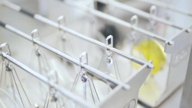 lens gözlük yakın çekim için üretilen