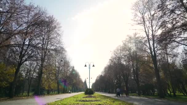 Personnes marchant dans le parc timelapse — Video