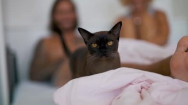 kedi ile genç bir çift yatakta