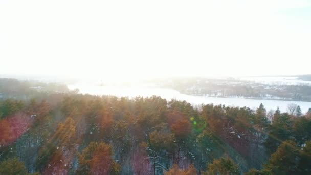 Luchtfoto van het winter-bos — Stockvideo