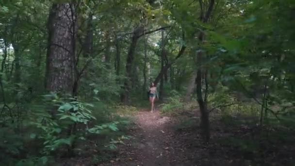 Meisje met rugzak wandelingen in het bos — Stockvideo