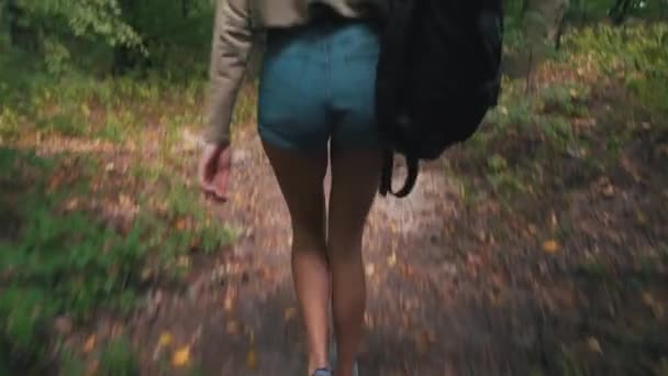 Menina com mochila caminha na floresta — Vídeo de Stock