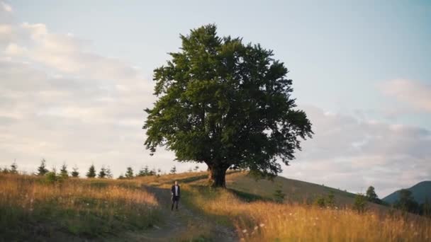 Ragazzo cammina vicino a un albero nella natura — Video Stock