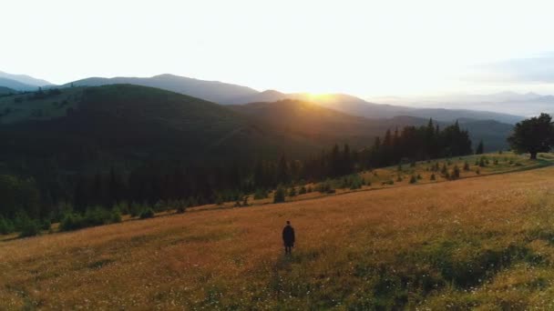 Um cara caminha em um vale de montanhas — Vídeo de Stock