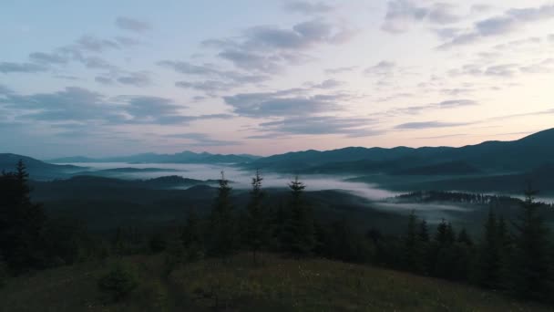 Mlha nad horským lesem — Stock video