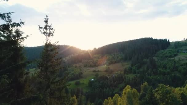 Bir dağ ormanının üzerinde gün batımı — Stok video