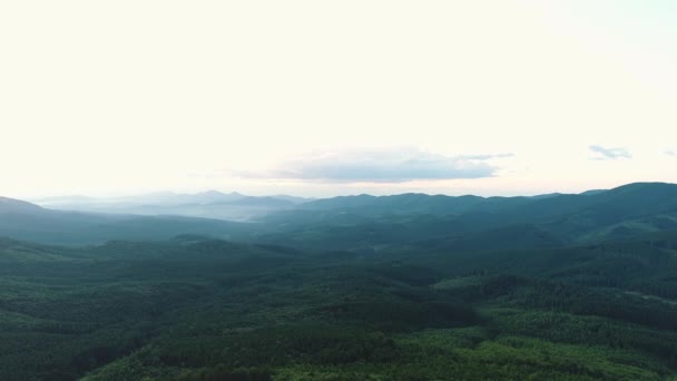 Aerial view of the Carpathian mountains — Stock Video