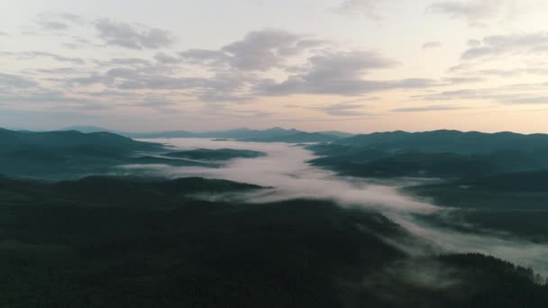 Gün doğumunda dağlardaki kozalaklı ormanın üzerinde sis var. — Stok video