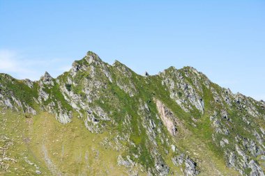 Mavi gökyüzünün altında yeşil otlarla kaplı Rocky dağ zirveleri